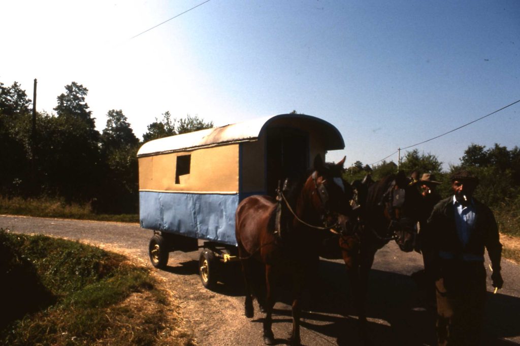 Manouche Horses and Cart